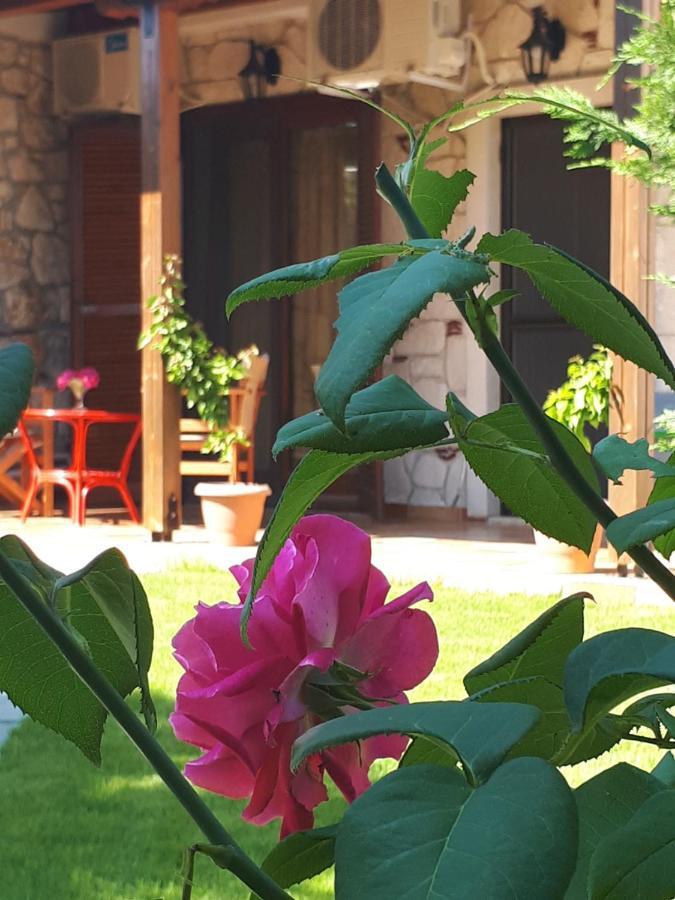 Villa George Afytos Dış mekan fotoğraf
