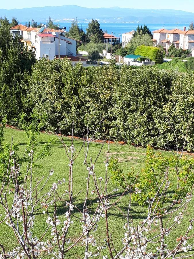 Villa George Afytos Dış mekan fotoğraf