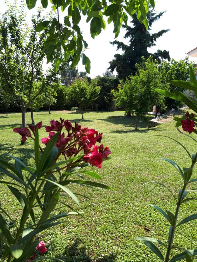 Villa George Afytos Dış mekan fotoğraf