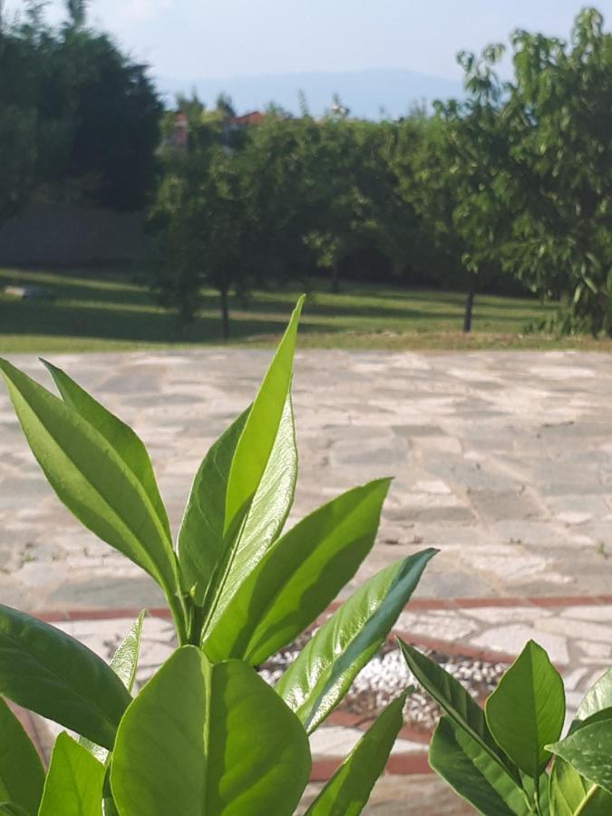 Villa George Afytos Dış mekan fotoğraf