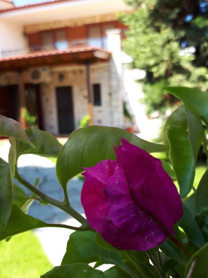Villa George Afytos Dış mekan fotoğraf