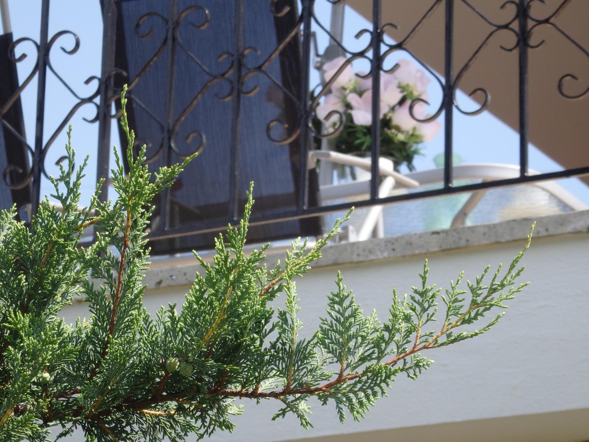 Villa George Afytos Dış mekan fotoğraf